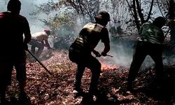 Ordu’da fındık bahçesi ve ormanlık alanda çıkan yangınlar söndürüldü