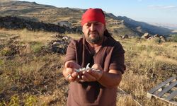Doğanın vergisi piyasada 10 bin TL