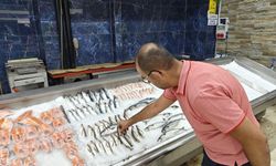 Balıkçılar 1 Eylül sezonu için hazırlıklarını tamamladı