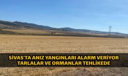 Sivas’ta Anız Yangınları Alarm Veriyor Tarlalar ve Ormanlar Tehlikede