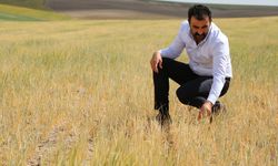 Sivas'tan gübre ve tohum fiyatlarına denetim talebi