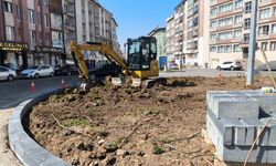 Sivas'ta Peyzaj Düzenlemeleri hız kazandı