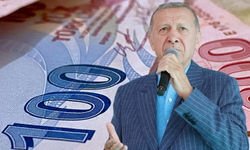 1,250 TL Aile Destek Yerine 2.500 TL! Diğer Aile Yardımı Nasıl Alınır?