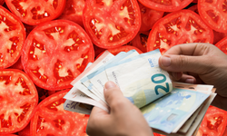 Elazığ'dan Dünyaya Açılan Lezzet: 4 Euro'luk Domatesin Sırrı Ne?