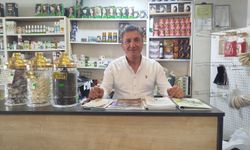 Terleme, Ödem ve Şişkinliğe Hangi Bitkiler İyi Gelir? İşte Detaylar!