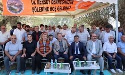 Sivas'ta 1. Birlik ve Beraberlik Şenliği'ne büyük ilgi