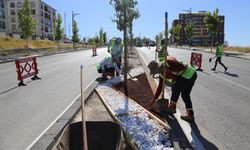 Sivas Belediyesi’nden yeşil gelecek için mesai