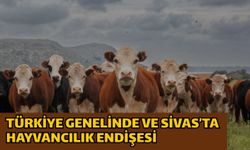 Türkiye genelinde ve Sivas’ta hayvancılık endişesi