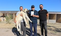 Kangal'ı Dünyaya Tanıtan Adam!