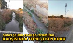 Sivas Şehirlerarası Terminal Karşısında Tepki Çeken Koku