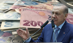 Devlet 11.702 TL Nakit Yarımları Hesaplara Yatırdı