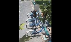 Türkiye’ye örnek gösterilen projede tatsız olay