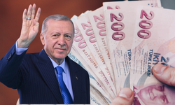 Ağustosta Annelere 5,000 ile 10,000 TL Ödeme Yapılacak