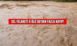 Şiddetli Yağış Felakete Dönüştü 4 Ölü, 50'den Fazla Kayıp
