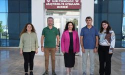Sivas'tan sır perdesi aralanıyor: Kene, Pas Hastalığı ve daha fazlası