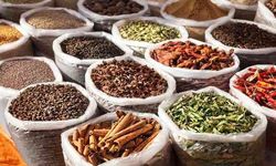 Sofranızdaki O Baharat Kanser Kalkanı Çıktı! İşte O Baharat!