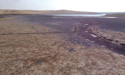 Dron görüntüleri şaşırtan değişimi ortaya koydu