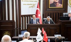 Sivas Sarıca Kaynağı Malatya'ya can suyu olacak!..