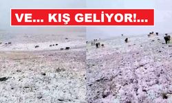 Mevsimin ilk kar yağışı doğudan düştü!..