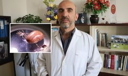 Sivas'tan kene uyarısı: Şimdi mücadele zamanı!..