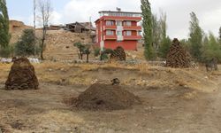En doğal enerji kurutuluyor...
