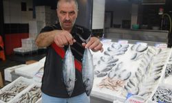 Bu sezon balık krizi: Tezgâhlarda onu bulmak zorlaştı