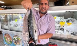 Denizi Yok Ama 54 Ülkenin Sofrasını Donatıyor!