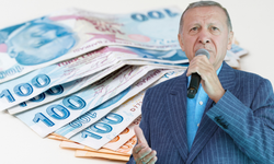 1.250 TL Aile Destek Yerine Alabileceğiniz 5 Nakit Destek