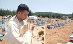 Klavyesini Bırakıp Kovanı Seçti! O Gencin Kararı Herkesi Şaşırttı!
