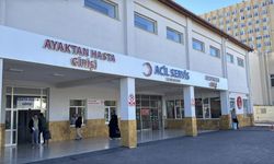 Sivas'ta Bir Vatandaşımız Ayı Saldırısına Uğradı