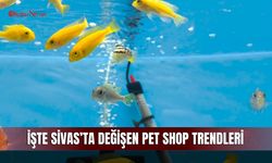 İşte Sivas’ta değişen pet shop trendleri