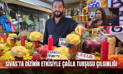 Sivas’ta dizinin etkisiyle çağla turşusu çılgınlığı