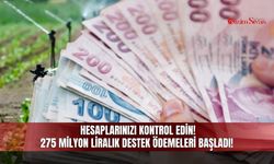 Hesaplarınızı Kontrol Edin! 275 Milyon Liralık Destek Ödemeleri Başladı!