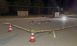 Genç, Av Tüfeğiyle Vurularak Öldürüldü
