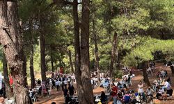 Bursa'da Günlerden Sivas