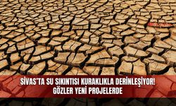 Sivas’ta su sıkıntısı kuraklıkla derinleşiyor! Gözler yeni projelerde