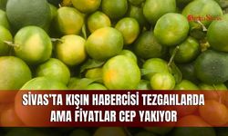 Sivas’ta kışın habercisi tezgahlarda ama fiyatlar cep yakıyor