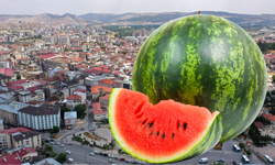 Sivas’ta Karpuzun Pabucu 15 Ağustos’ta Dama Atılıyor