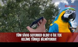 Tüm Sivas Seferber Oldu, O İse Tek Kelime Türkçe Bilmiyordu!