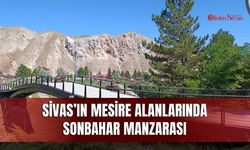 Sivas’ın mesire alanlarında sonbahar manzarası