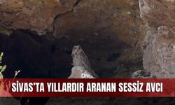 Sivas’ta yıllardır aranan sessiz avcı