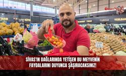 Sivas'ın Dağlarında Yetişen Bu Meyvenin Faydalarını Duyunca Şaşıracaksınız!