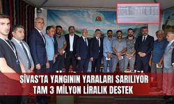 Sivas'ta yangının yaraları sarılıyor
