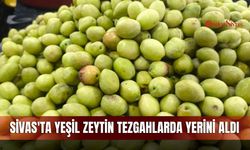 Sivas'ta yeşil zeytin tezgahlarda yerini aldı