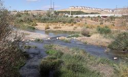 Kızılırmak'ta gözle görülür azalma: Rakamlar alarm veriyor