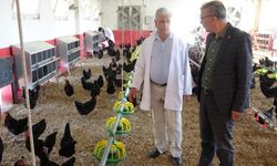 O Okulun Mezunları İş Bulma Sıkıntısı Yaşamıyor!