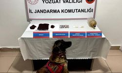 Gizli takip sonuç verdi: Evin içinden çıkanlar şaşırtmadı