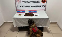 Şüpheli Durduruldu! Aracından Çıkanlar Şaşırttı!