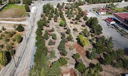 Sivas Sıcak Çermik'te değişim başladı, detaylar şaşırtıyor