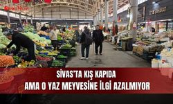 Sivas’ta kış kapıda ama o yaz meyvesine ilgi azalmıyor